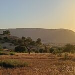 Spring in Ihahan: Fieldwork Highlights